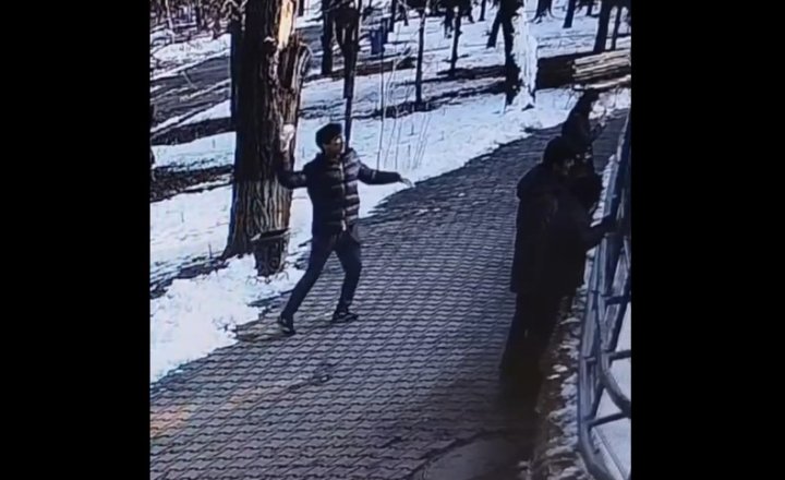 Посетители зоопарка Ташкента бросались камнями в тигров, пряча их в снежки