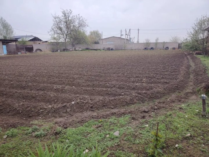 Олий Мажлис Республики Узбекистан одобрил упрощение процедуры признания прав на землю