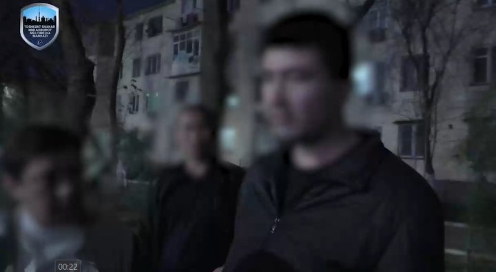 Экологи в Ташкенте пытались создать условия для уничтожения деревьев за $3 000