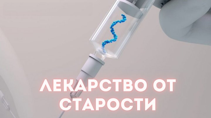 В 2026 году собаки получат лекарство от старости, на очереди лекарство для людей