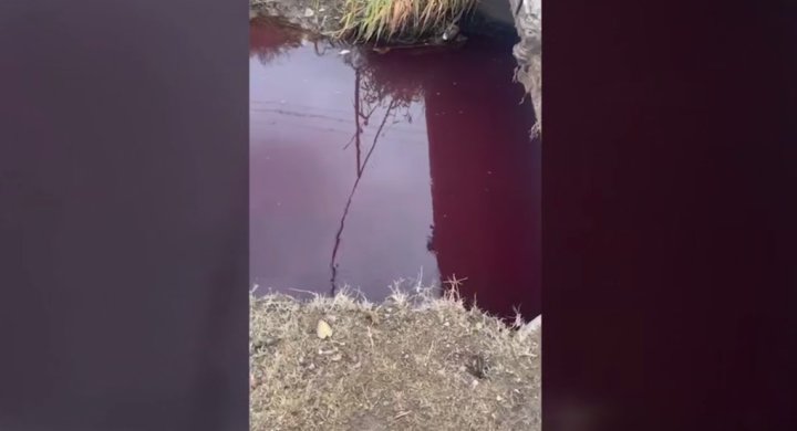 В Ташобласти заметили кровавую реку
