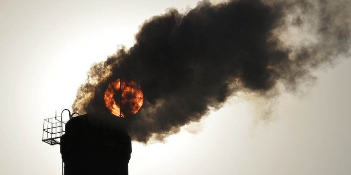 Спецкомиссия продолжает рейды по теплицам Ташкентской области