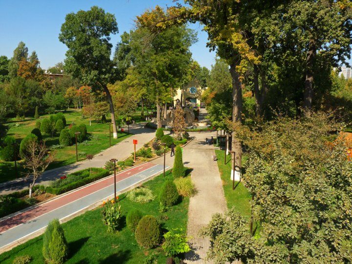 В Ташкенте территории старых онкоцентров превратят в эко-парки