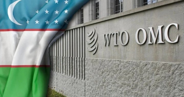 Последний шаг Ташкента: как Тайвань отделяет Узбекистан от ВТО