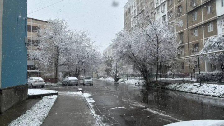 В Узбекистане ожидается снег и понижение температуры до -13 градусов