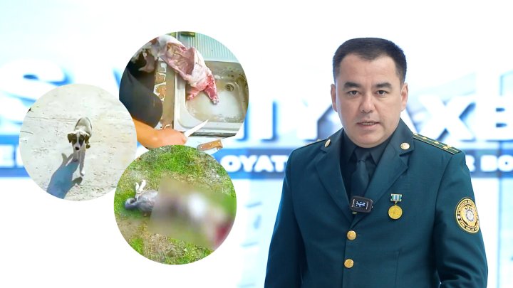 Пользователи соцсетей требуют жёстко наказать живодёра из Янгиюля