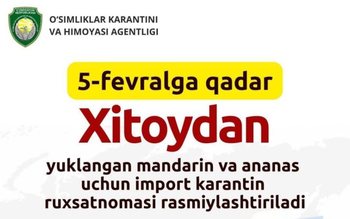 Узбекистан временно закрывает импорт мандаринов и ананасов из Китая
