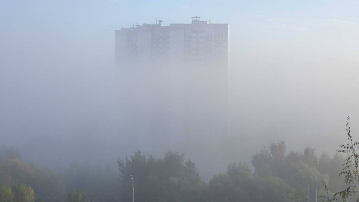 Экологи срочно обратились к узбекистанцам