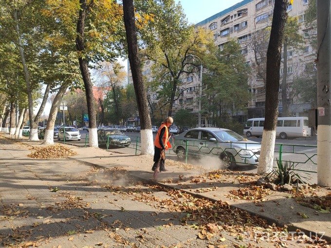 Экопартия Узбекистана предложила радикальный план спасения экологии