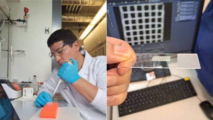 В Узбекистане создали базу биочернил из растений