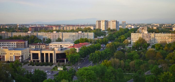 Школы, пробки и сейсмостойкость: решит ли уплотнение застройки главные проблемы Ташкента?