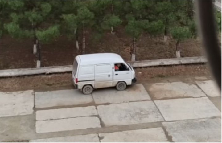 Стрельба у жилых домов: жители Навои обеспокоены действиями сотрудников отлова