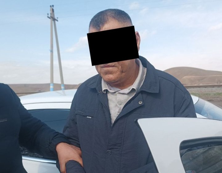 Эколог из Сурхандарьи пообещал закрыть глаза на вырубку более 20 деревьев за $500