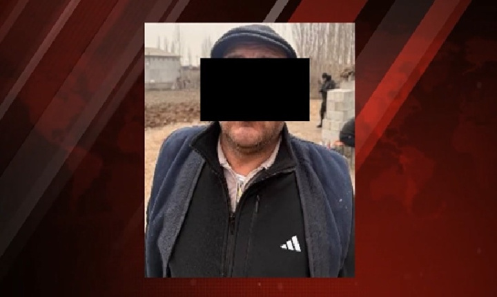 Организатору петушиных боёв в Коканде грозит до 7 лет лишения свободы