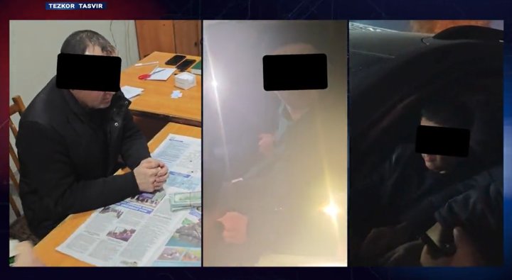 В Намангане чиновники почувствовали вкус безнаказанности и нанесли серьёзный ущерб лесному хозяйству