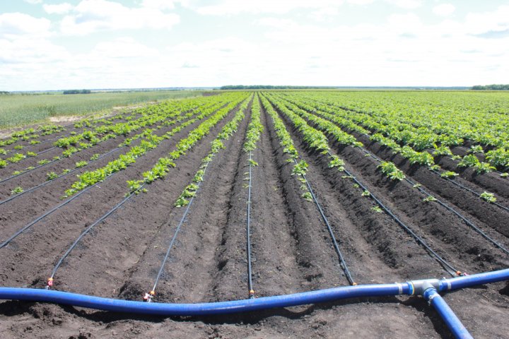 Шавкат Мирзиёев: К 2028 году 80% земель Узбекистана перейдут на экономный полив