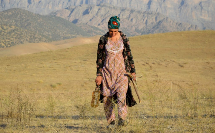 В экономику Сурхандарьинской области вложат 3 млрд долларов в 2026 году