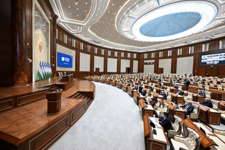 В Сенате Узбекистана указали на застойные направления реформ