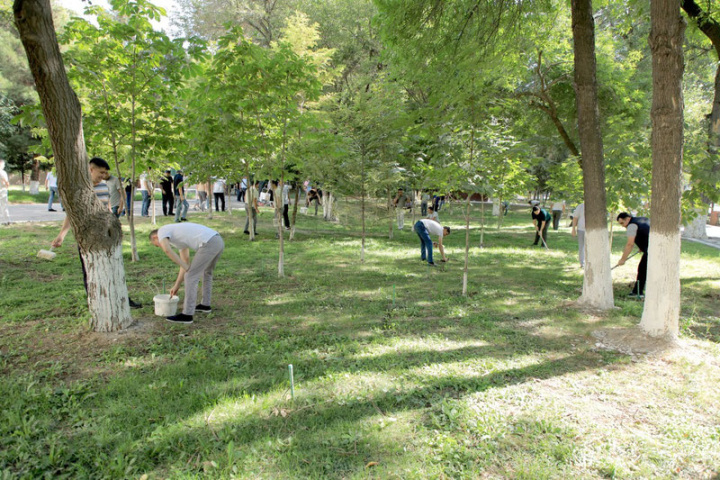 Всенародный хашар в Узбекистане назначен на 13-14 марта